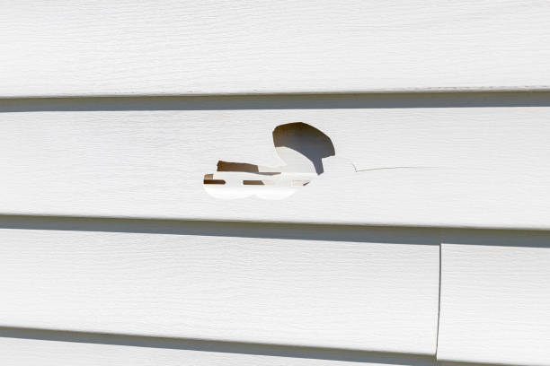 Best Garage Cleanout  in Rensselaer, IN