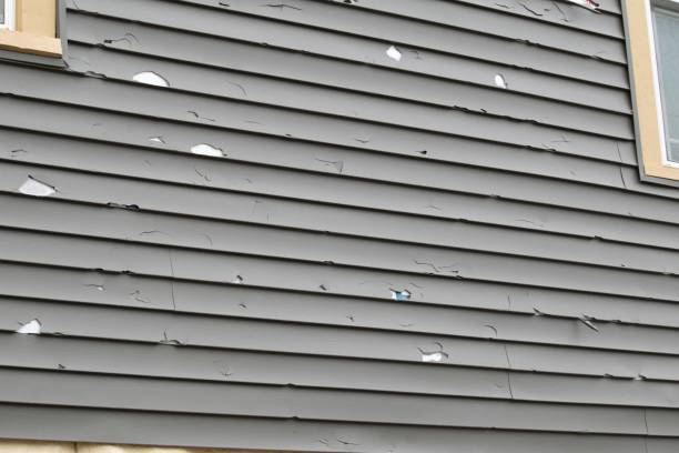 Best Hoarding Cleanup  in Rensselaer, IN